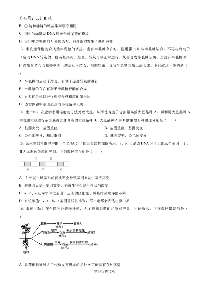 黑龙江省龙东十校2024-2025学年高二上学期开学考试生物试题+答案_2024-2025高二（7-7月题库）_2024年09月试卷_0903黑龙江省龙东十校2024-2025学年高二上学期开学考试