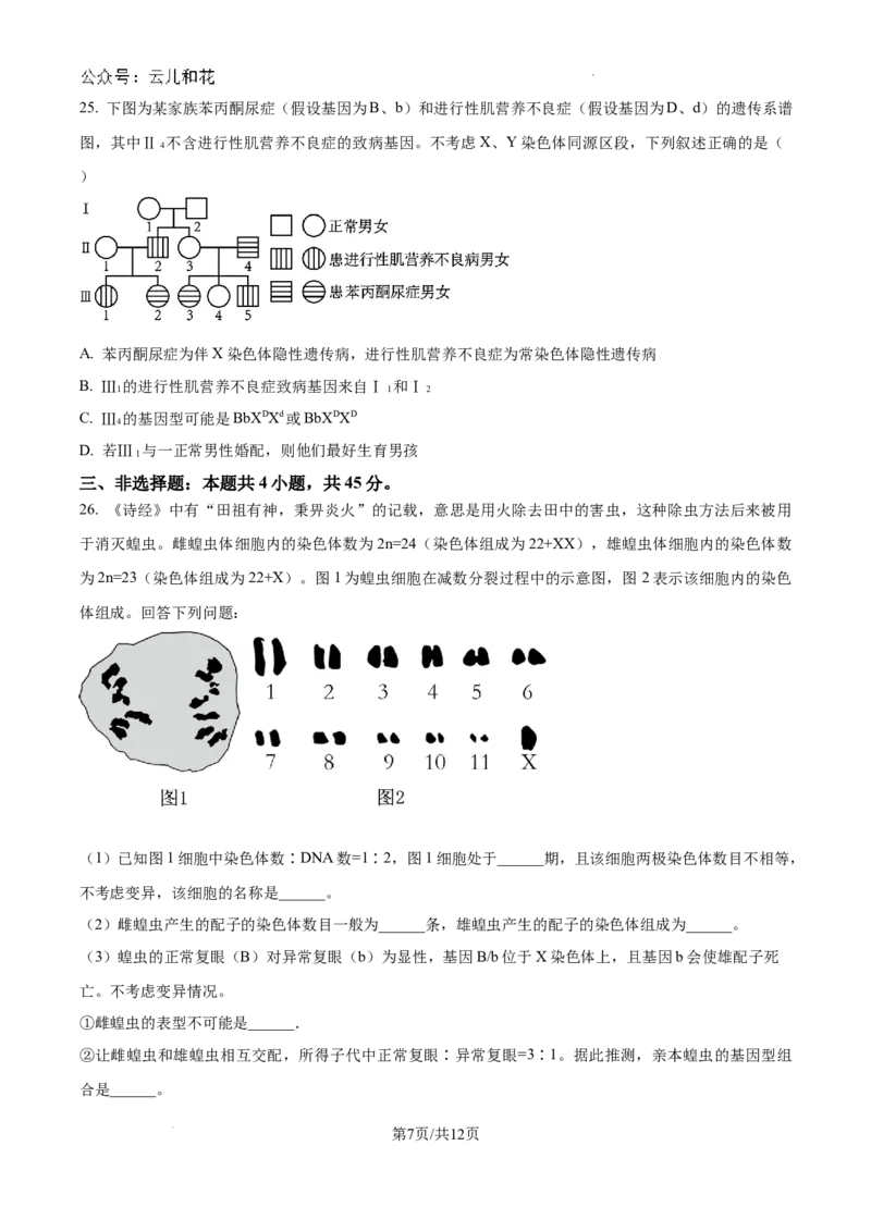 黑龙江省龙东十校2024-2025学年高二上学期开学考试生物试题+答案_2024-2025高二（7-7月题库）_2024年09月试卷_0903黑龙江省龙东十校2024-2025学年高二上学期开学考试
