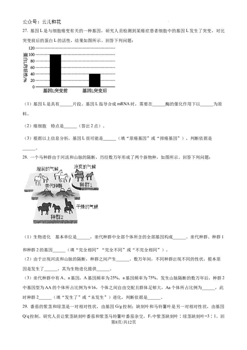 黑龙江省龙东十校2024-2025学年高二上学期开学考试生物试题+答案_2024-2025高二（7-7月题库）_2024年09月试卷_0903黑龙江省龙东十校2024-2025学年高二上学期开学考试
