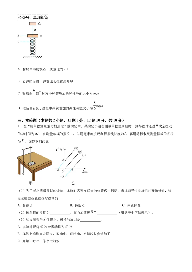 湖南省长沙市雅礼中学2025届高三上学期月考（二）物理试题_2024-2025高三（6-6月题库）_2024年10月试卷_1015湖南省长沙市雅礼中学2025届高三上学期月考（二）