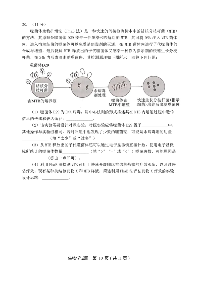 生物试题_2024-2025高三（6-6月题库）_2024年11月试卷_1113黑龙江省龙东联盟2024-2025学年高三上学期11月月考（全科）_黑龙江省龙东联盟2024-2025学年高三上学期11月月考生物