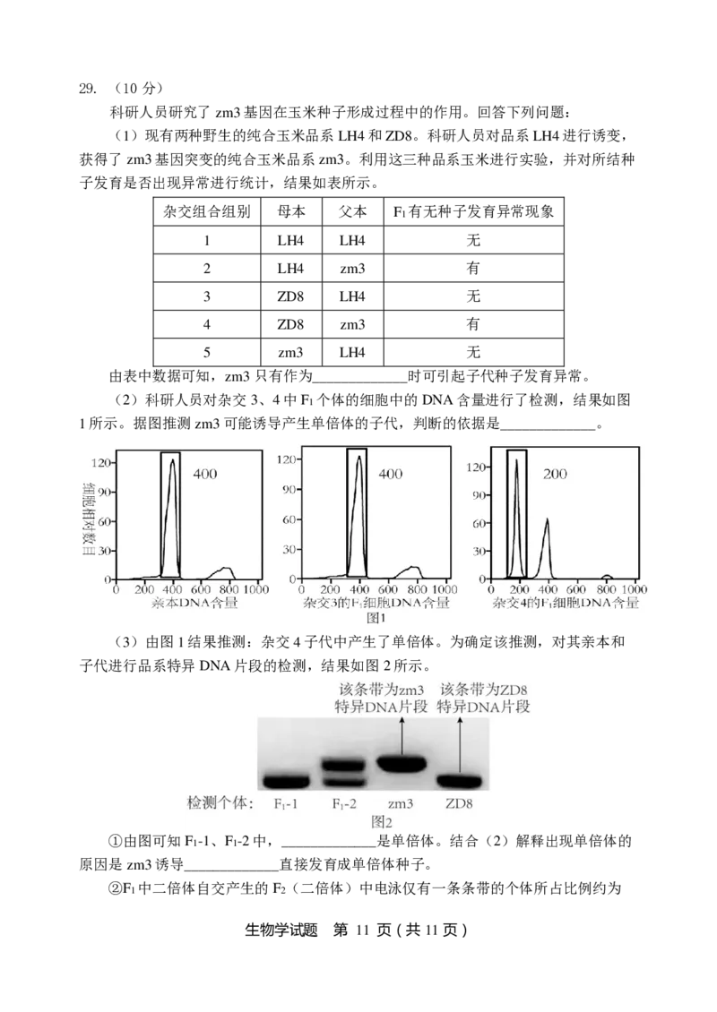 生物试题_2024-2025高三（6-6月题库）_2024年11月试卷_1113黑龙江省龙东联盟2024-2025学年高三上学期11月月考（全科）_黑龙江省龙东联盟2024-2025学年高三上学期11月月考生物