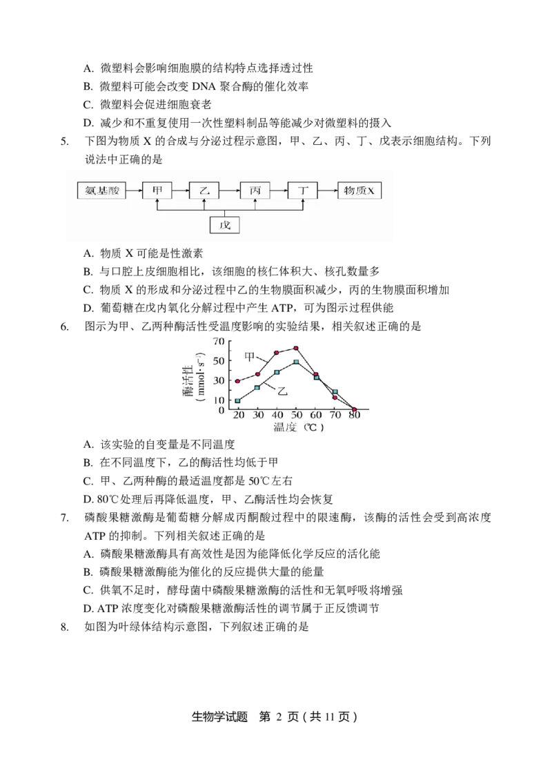 生物试题_2024-2025高三（6-6月题库）_2024年11月试卷_1113黑龙江省龙东联盟2024-2025学年高三上学期11月月考（全科）_黑龙江省龙东联盟2024-2025学年高三上学期11月月考生物