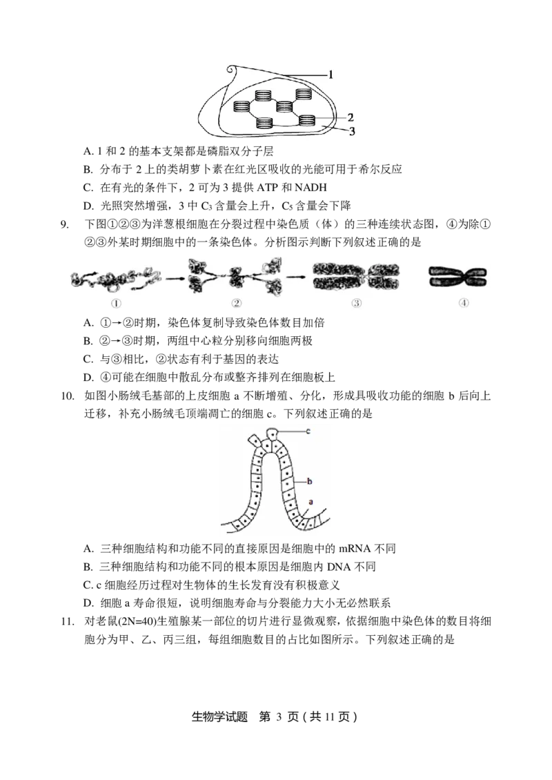 生物试题_2024-2025高三（6-6月题库）_2024年11月试卷_1113黑龙江省龙东联盟2024-2025学年高三上学期11月月考（全科）_黑龙江省龙东联盟2024-2025学年高三上学期11月月考生物