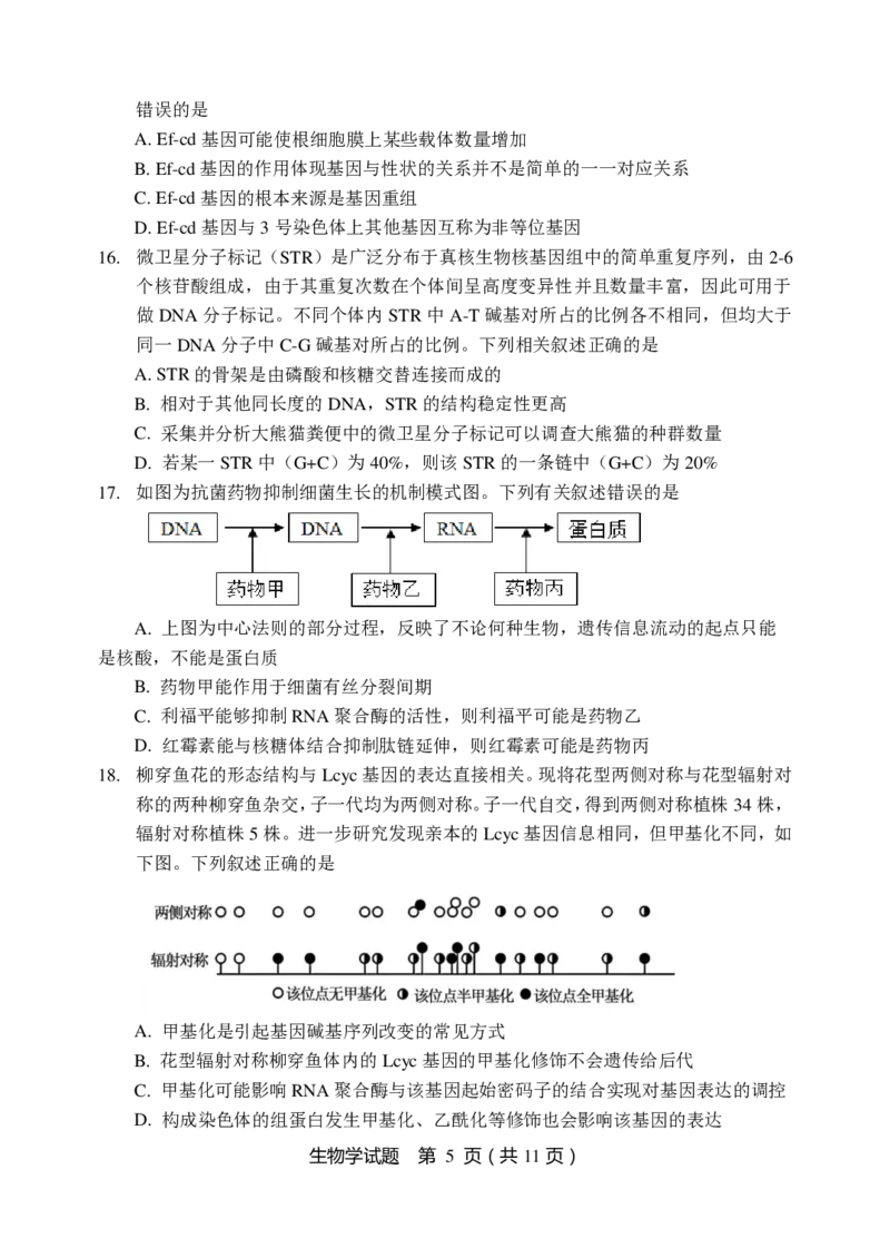 生物试题_2024-2025高三（6-6月题库）_2024年11月试卷_1113黑龙江省龙东联盟2024-2025学年高三上学期11月月考（全科）_黑龙江省龙东联盟2024-2025学年高三上学期11月月考生物