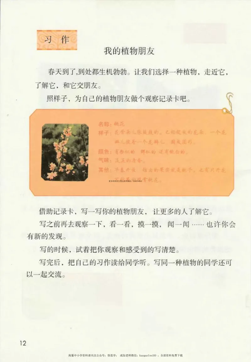 三年级下册部编版语文新版电子课本_小学1-6年级全部试卷_语文_三年级_3-8-2、小学三年级语文下册_3-8-2-4、电子教材、课本