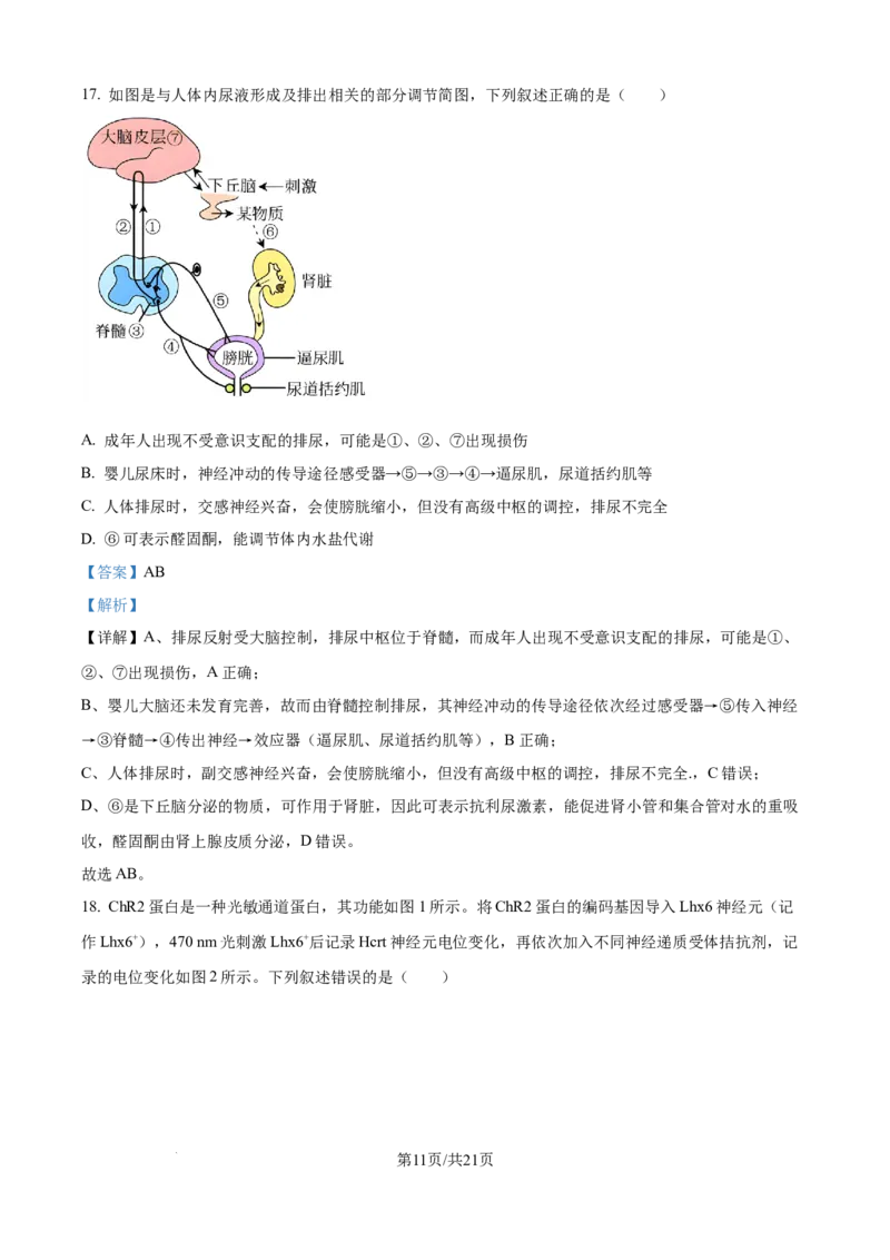 精品解析：山东省济宁市第一中学2025-2026学年高二上学期10月月考生物试题（解析版）_2025年10月高二试卷_251030山东省济宁市第一中学2025-2026学年高二上学期10月月考（全）