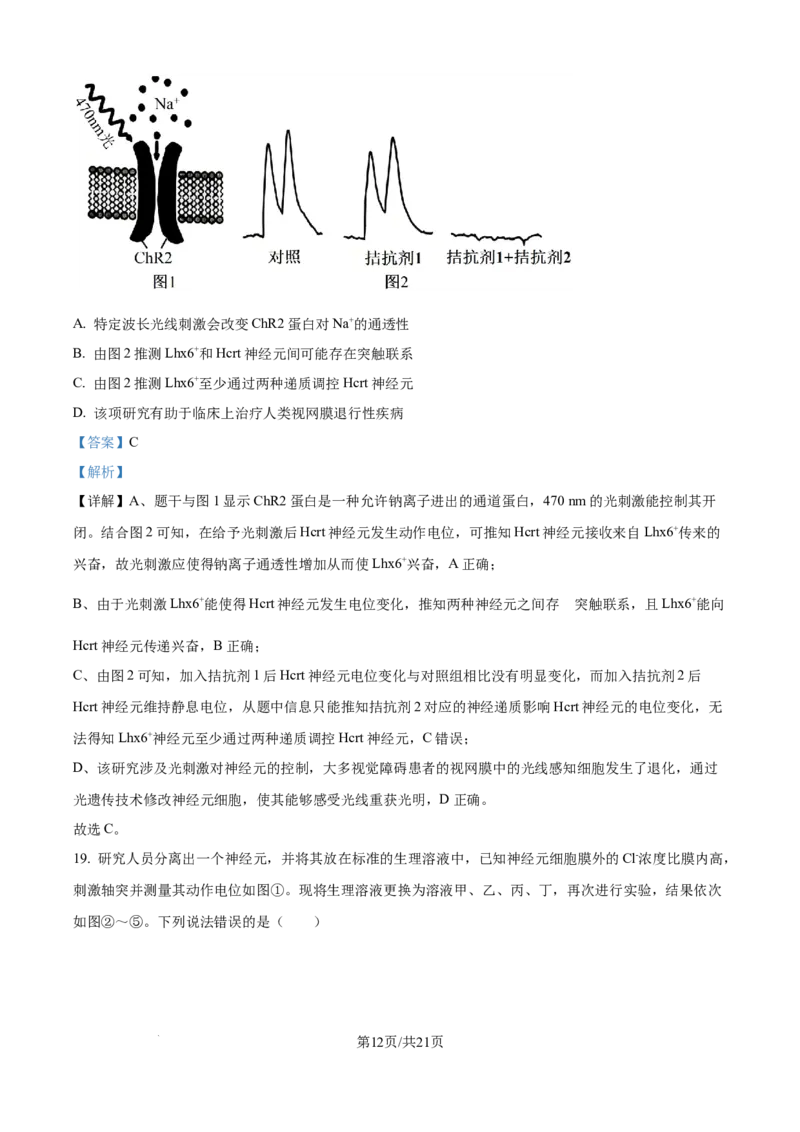 精品解析：山东省济宁市第一中学2025-2026学年高二上学期10月月考生物试题（解析版）_2025年10月高二试卷_251030山东省济宁市第一中学2025-2026学年高二上学期10月月考（全）