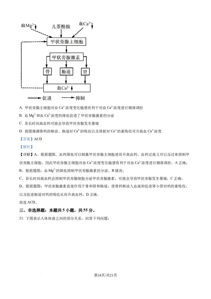 精品解析：山东省济宁市第一中学2025-2026学年高二上学期10月月考生物试题（解析版）_2025年10月高二试卷_251030山东省济宁市第一中学2025-2026学年高二上学期10月月考（全）