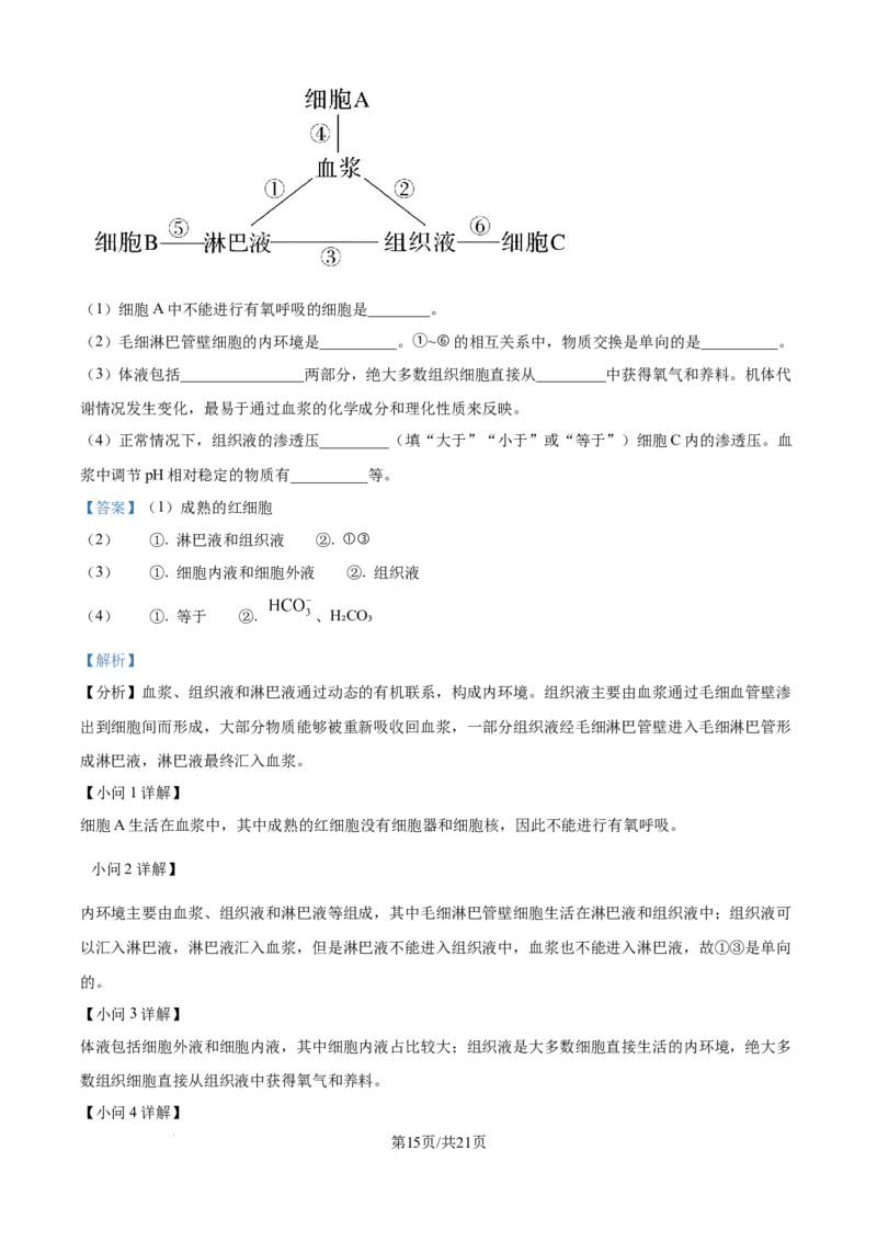 精品解析：山东省济宁市第一中学2025-2026学年高二上学期10月月考生物试题（解析版）_2025年10月高二试卷_251030山东省济宁市第一中学2025-2026学年高二上学期10月月考（全）
