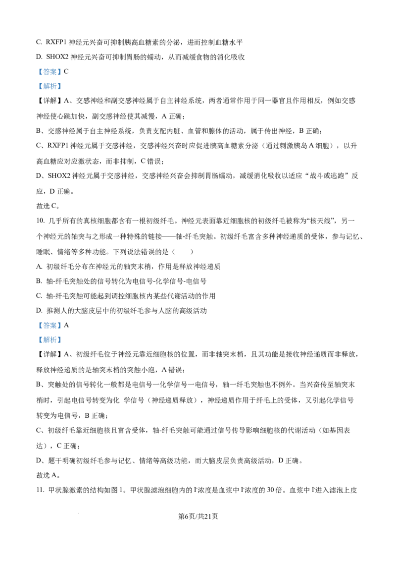 精品解析：山东省济宁市第一中学2025-2026学年高二上学期10月月考生物试题（解析版）_2025年10月高二试卷_251030山东省济宁市第一中学2025-2026学年高二上学期10月月考（全）