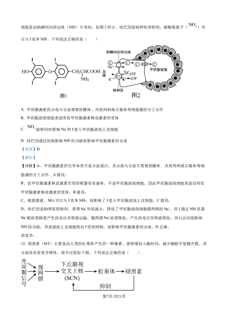精品解析：山东省济宁市第一中学2025-2026学年高二上学期10月月考生物试题（解析版）_2025年10月高二试卷_251030山东省济宁市第一中学2025-2026学年高二上学期10月月考（全）