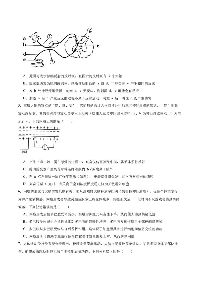 河北省邯郸市邯山区九校联考2025-2026学年高二上学期10月一调考试生物Word版含答案_2025年11月高二试卷_251110河河北省邯郸市邯山区九校联考2025-2026学年高二上学期10月一调考试
