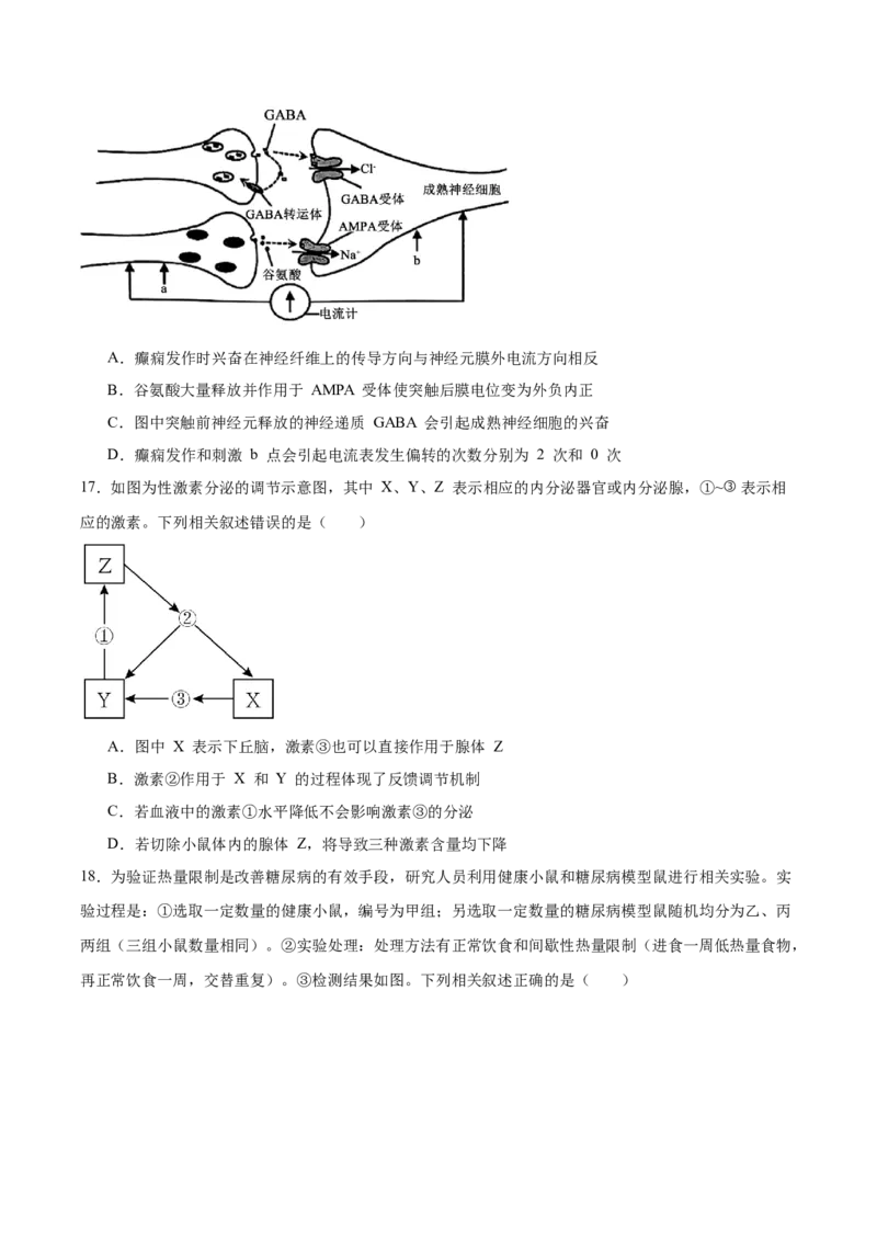 河北省邯郸市邯山区九校联考2025-2026学年高二上学期10月一调考试生物Word版含答案_2025年11月高二试卷_251110河河北省邯郸市邯山区九校联考2025-2026学年高二上学期10月一调考试