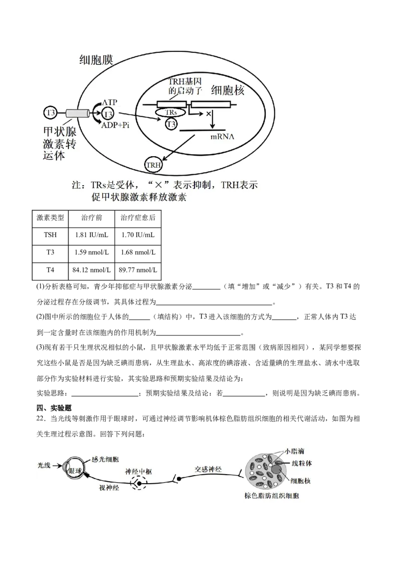 河北省邯郸市邯山区九校联考2025-2026学年高二上学期10月一调考试生物Word版含答案_2025年11月高二试卷_251110河河北省邯郸市邯山区九校联考2025-2026学年高二上学期10月一调考试