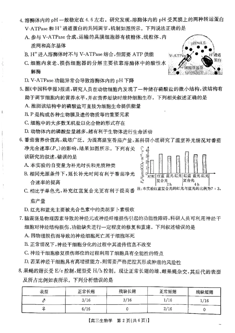陕西省安康市2024-2025学年高三上学期第一次质量联考生物试题_2024-2025高三（6-6月题库）_2024年11月试卷_1125陕西省安康市2024-2025学年高三上学期第一次质量联考