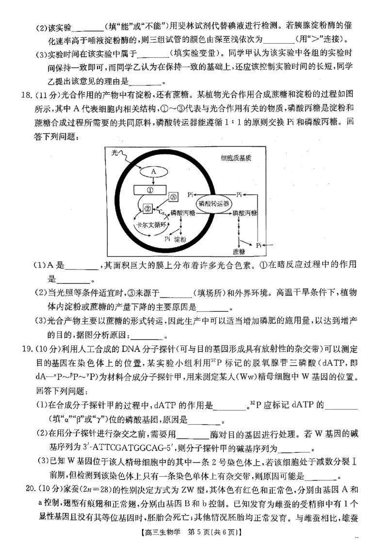 陕西省安康市2024-2025学年高三上学期第一次质量联考生物试题_2024-2025高三（6-6月题库）_2024年11月试卷_1125陕西省安康市2024-2025学年高三上学期第一次质量联考