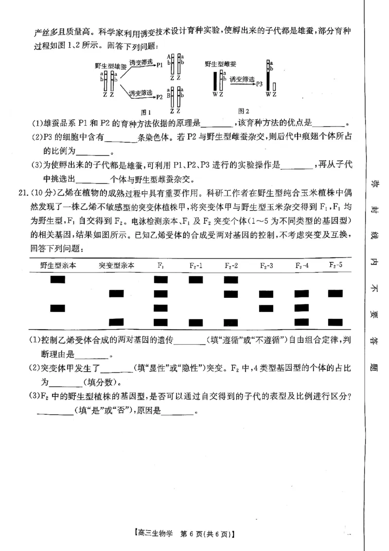 陕西省安康市2024-2025学年高三上学期第一次质量联考生物试题_2024-2025高三（6-6月题库）_2024年11月试卷_1125陕西省安康市2024-2025学年高三上学期第一次质量联考