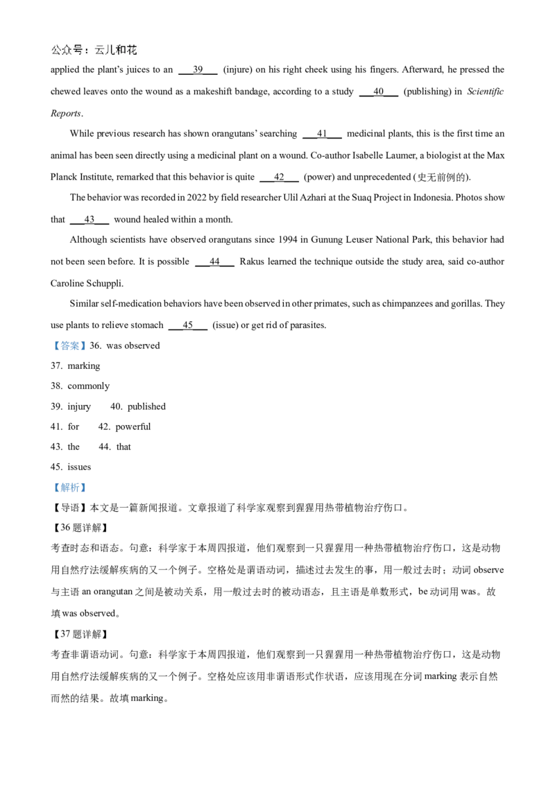 贵州省黔东南苗族侗族自治州2024-2025学年高二上学期11月期中英语试题Word版含解析_2024-2025高二（7-7月题库）_2024年12月试卷