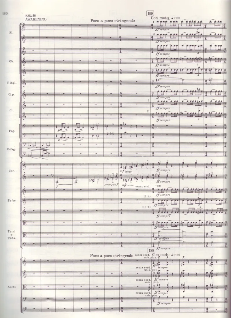 [斯特拉文斯基-芭蕾舞剧火鸟全剧音乐总谱].-.Stravinsky.-.The.Firebird.-.1910.-.(full.score)_一万首著名钢琴曲谱哈农贝多芬合集视频教学电子版高清无水印可打印_08名曲总谱合集