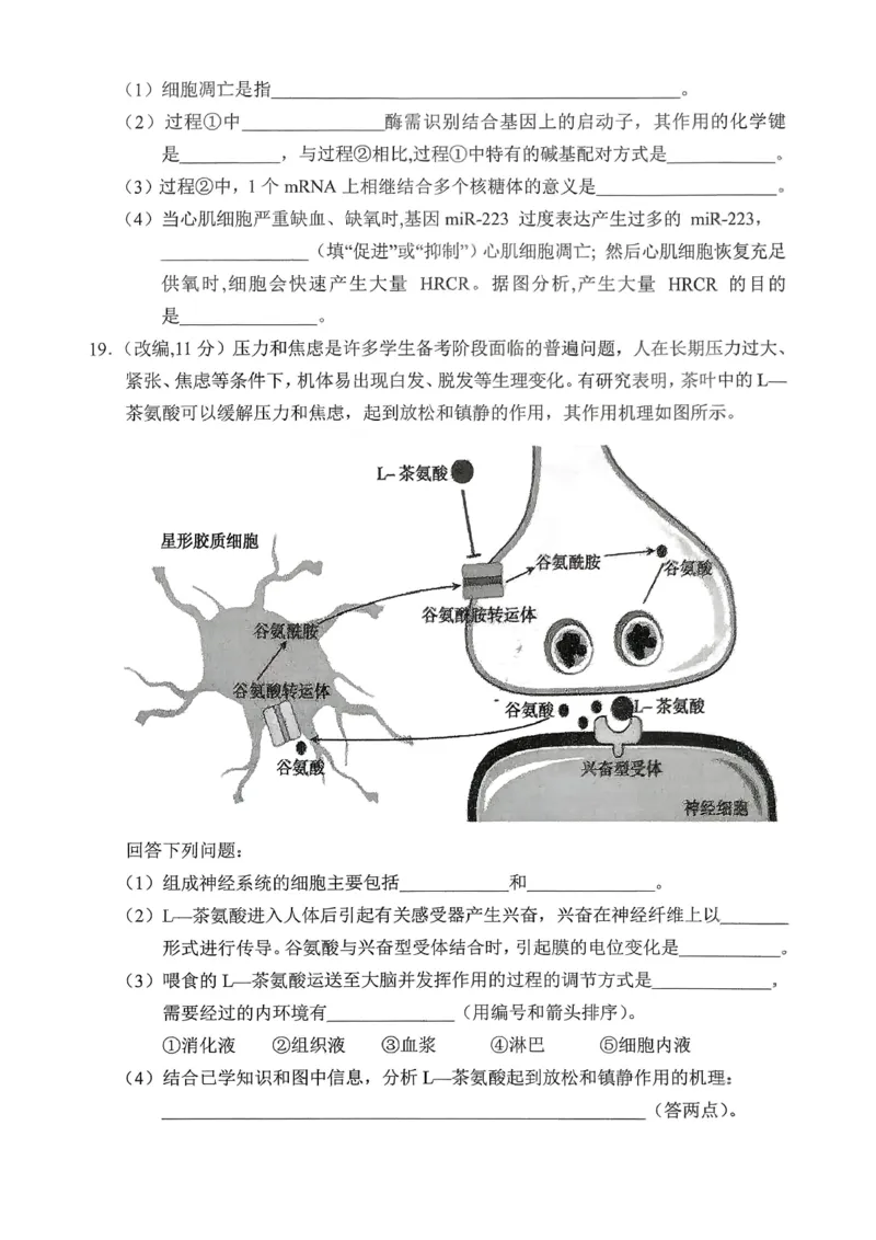 重庆市七校联盟2026届高三二阶段12月联考生物_2024-2026高三（6-6月题库）_2025年12月高三试卷_251230重庆市七校联盟2026届高三二阶段12月联考（全科）