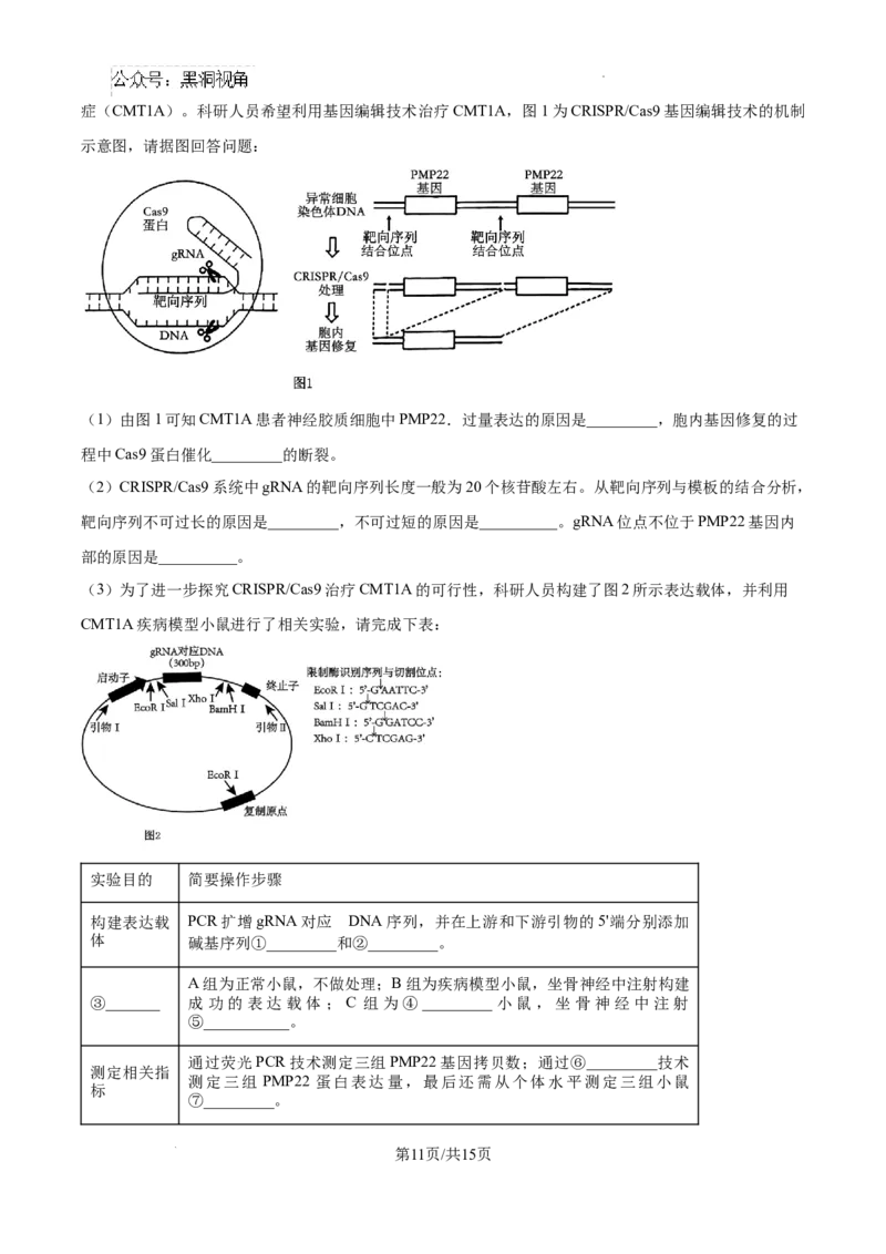 江苏省淮安市2025届高三上学期第一次调研测试生物+答案_2024-2026高三（6-6月题库）_2024年12月试卷_1202江苏省淮安市2025届高三上学期第一次调研测试（全科）