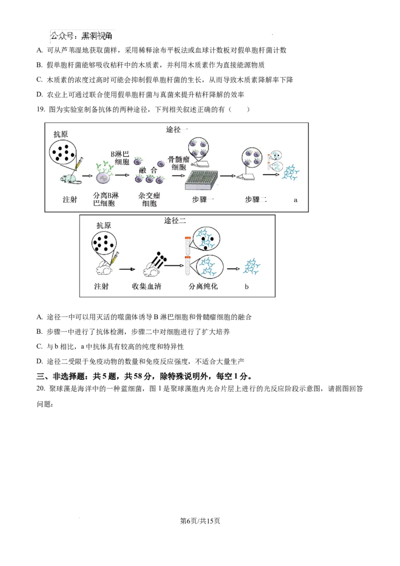 江苏省淮安市2025届高三上学期第一次调研测试生物+答案_2024-2026高三（6-6月题库）_2024年12月试卷_1202江苏省淮安市2025届高三上学期第一次调研测试（全科）