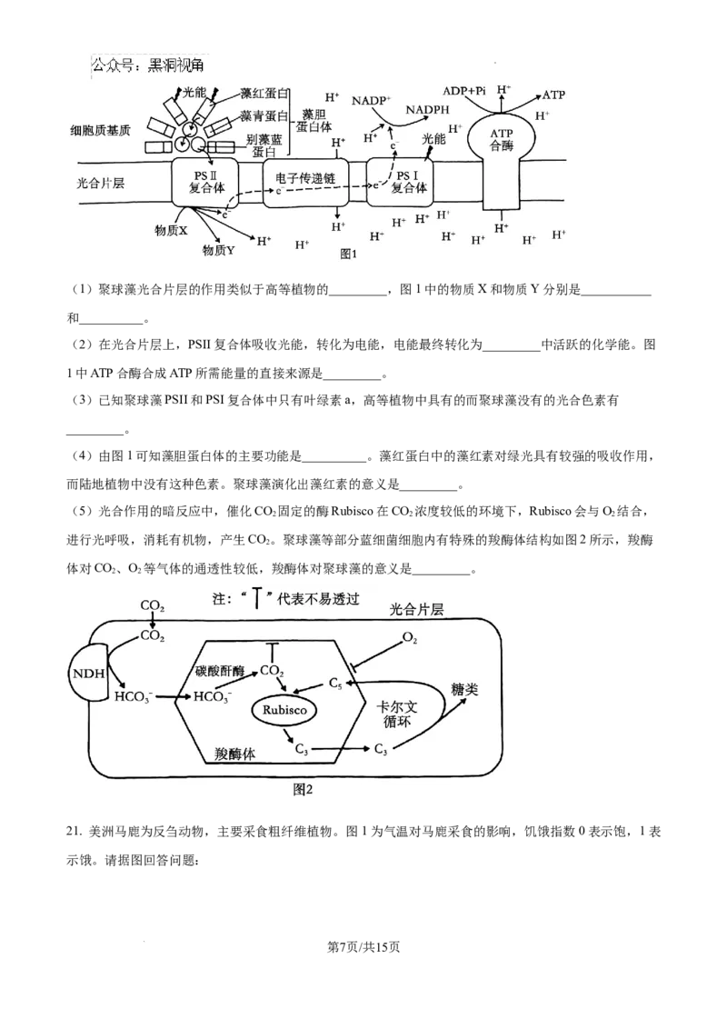 江苏省淮安市2025届高三上学期第一次调研测试生物+答案_2024-2026高三（6-6月题库）_2024年12月试卷_1202江苏省淮安市2025届高三上学期第一次调研测试（全科）