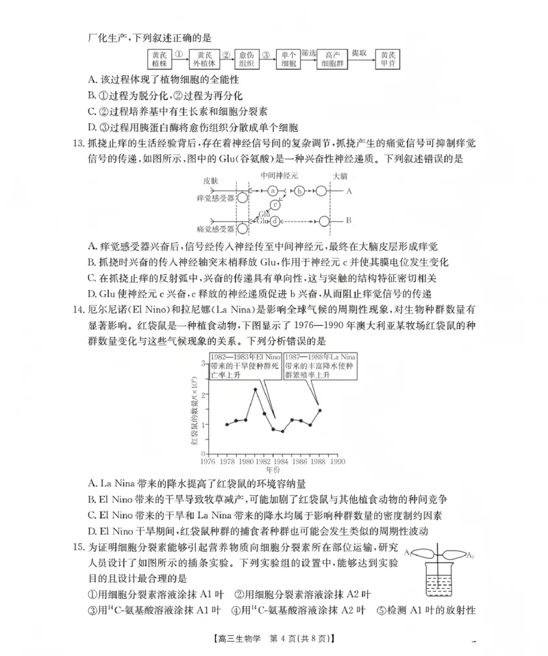 甘肃省2026届高三上学期12月联考（26-187C）生物_2024-2026高三（6-6月题库）_2026年01月高三试卷_0111金太阳&middot;甘肃省2026届高三上学期12月联考（26-187C）（全）