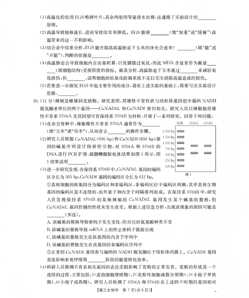 甘肃省2026届高三上学期12月联考（26-187C）生物_2024-2026高三（6-6月题库）_2026年01月高三试卷_0111金太阳&middot;甘肃省2026届高三上学期12月联考（26-187C）（全）