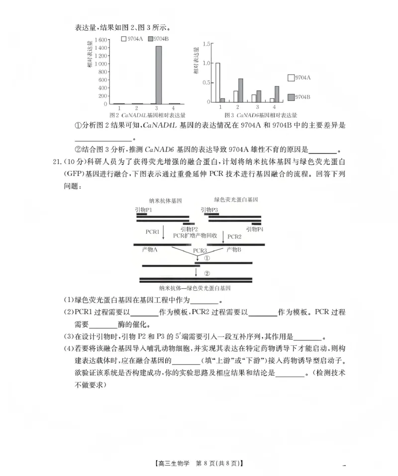 甘肃省2026届高三上学期12月联考（26-187C）生物_2024-2026高三（6-6月题库）_2026年01月高三试卷_0111金太阳&middot;甘肃省2026届高三上学期12月联考（26-187C）（全）