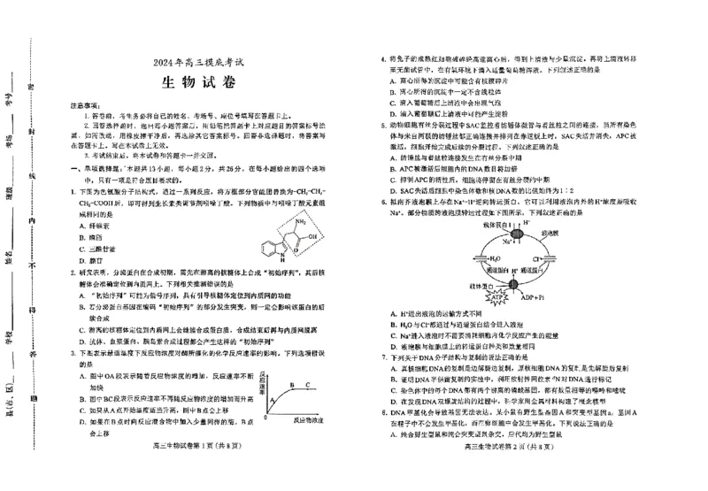 高三生物(1)_2024-2025高三（6-6月题库）_2024年10月试卷_1031河北省保定市2025届高三摸底考试（保定一模）_河北省保定市2025届高三摸底考试（保定一模）生物学