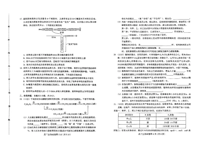 高三生物(1)_2024-2025高三（6-6月题库）_2024年10月试卷_1031河北省保定市2025届高三摸底考试（保定一模）_河北省保定市2025届高三摸底考试（保定一模）生物学