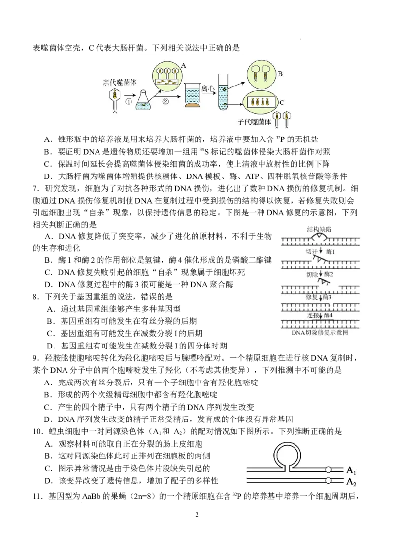 湖北省荆州市沙市中学2025-2026学年高二上学期9月月考生物试卷（含答案）_2025年10月高二试卷_251003湖北省荆州市沙市中学2025-2026学年高二上学期9月月考