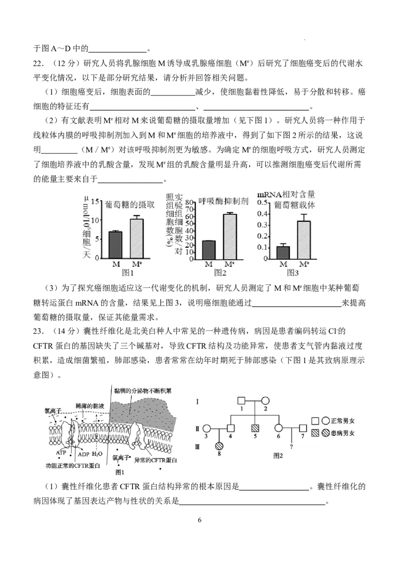 湖北省荆州市沙市中学2025-2026学年高二上学期9月月考生物试卷（含答案）_2025年10月高二试卷_251003湖北省荆州市沙市中学2025-2026学年高二上学期9月月考