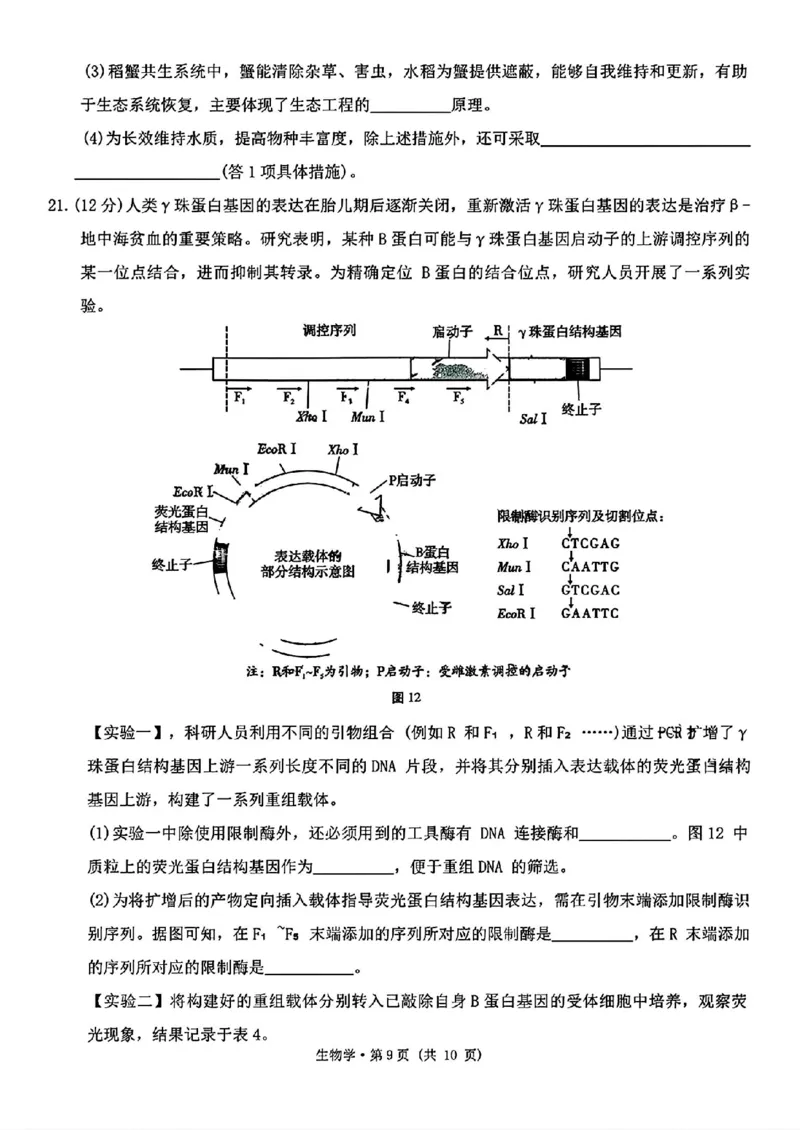 云南师大附中2026届高考适应性月考卷（六）生物+答案_2024-2026高三（6-6月题库）_2026年01月高三试卷_0105云南师大附中2026届高考适应性月考卷（六）