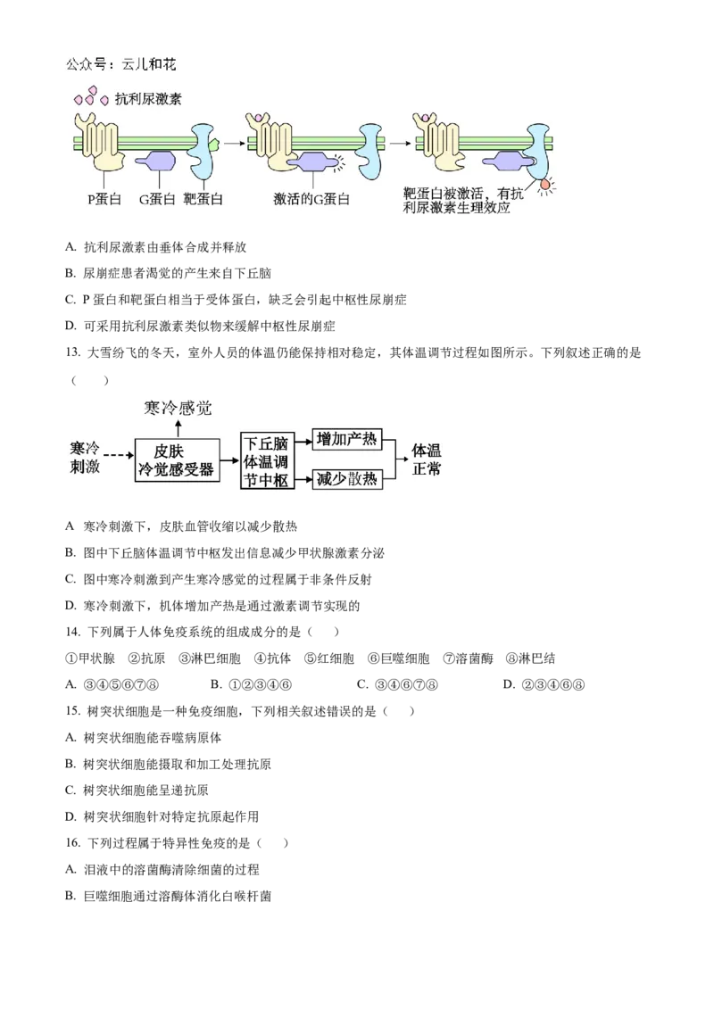 贵州省黔东南苗族侗族自治州2024-2025学年高二上学期11月期中考试生物试题Word版无答案_2024-2025高二（7-7月题库）_2024年12月试卷