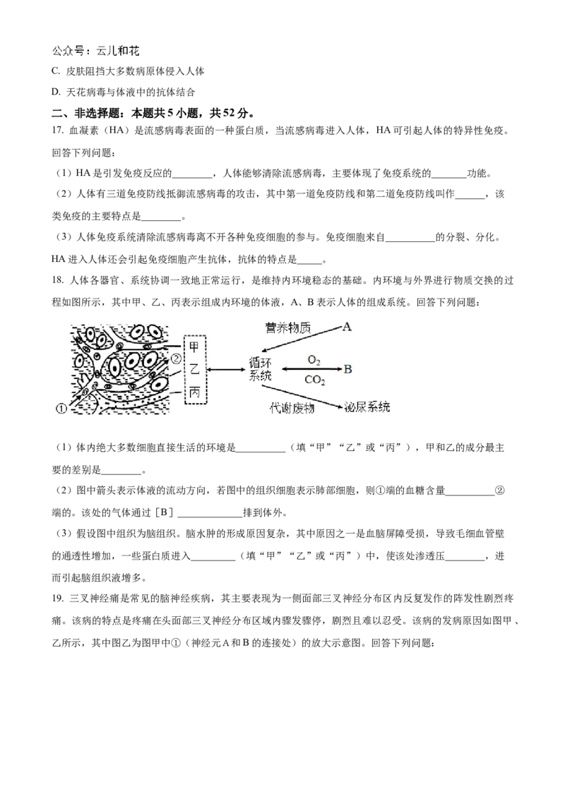 贵州省黔东南苗族侗族自治州2024-2025学年高二上学期11月期中考试生物试题Word版无答案_2024-2025高二（7-7月题库）_2024年12月试卷