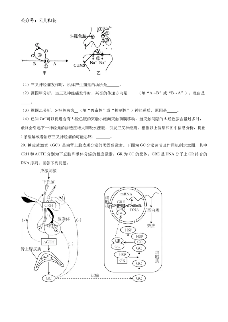 贵州省黔东南苗族侗族自治州2024-2025学年高二上学期11月期中考试生物试题Word版无答案_2024-2025高二（7-7月题库）_2024年12月试卷