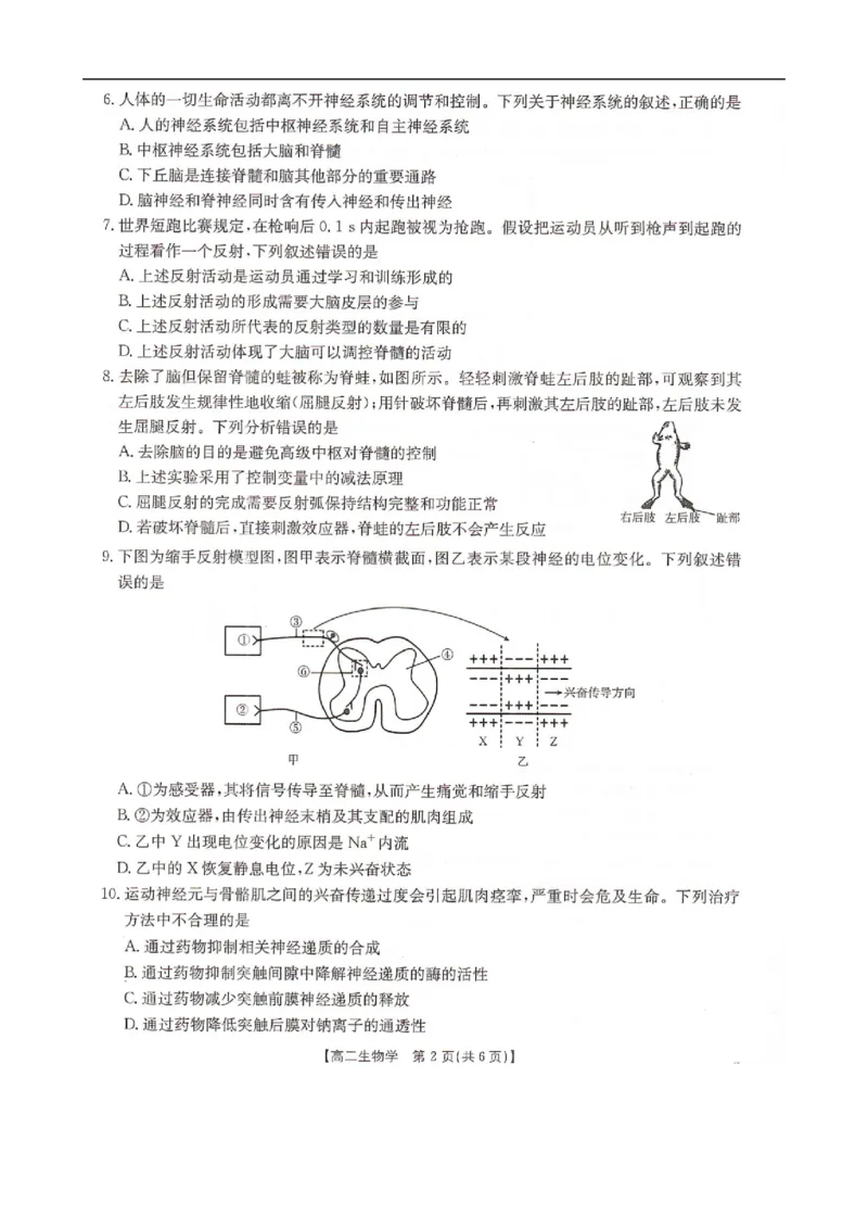 高二生物_2025年10月高二试卷_251027河北省邢台市卓越联盟2025-2026学年高二上学期10月月考（全）_河北省邢台市卓越联盟2025-2026学年高二上学期10月月考生物试题（扫描版，有解析）
