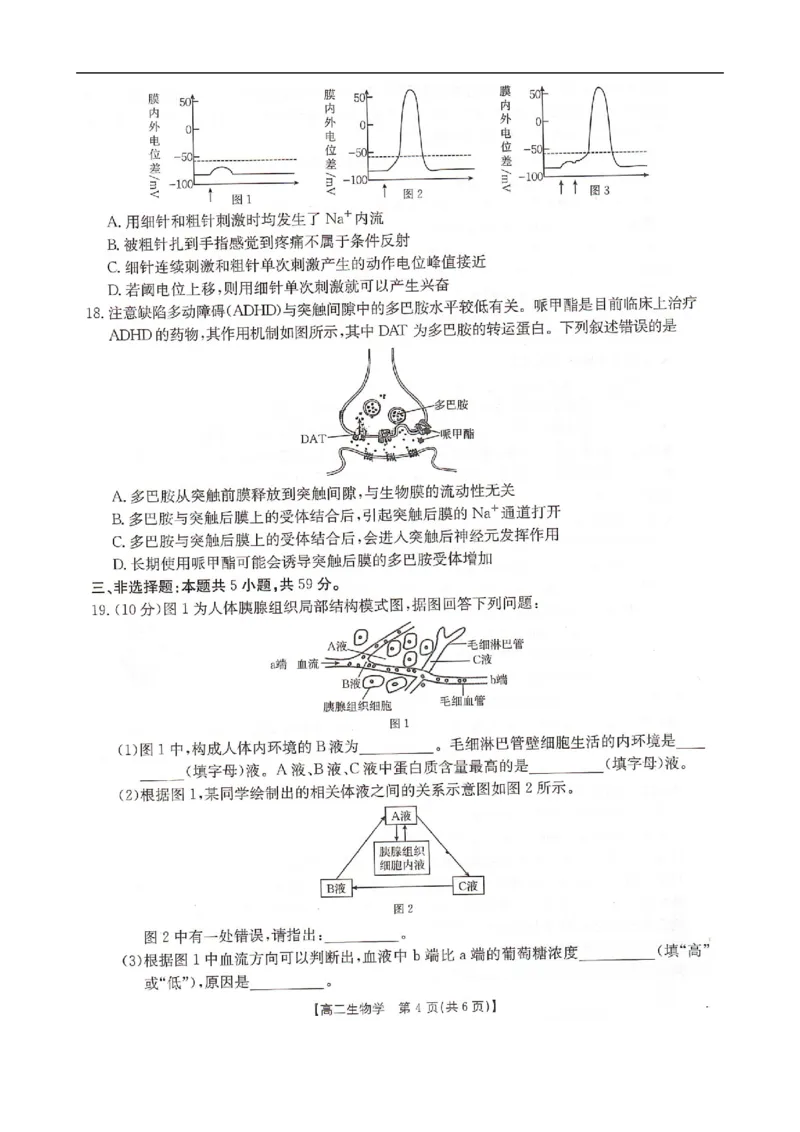 高二生物_2025年10月高二试卷_251027河北省邢台市卓越联盟2025-2026学年高二上学期10月月考（全）_河北省邢台市卓越联盟2025-2026学年高二上学期10月月考生物试题（扫描版，有解析）