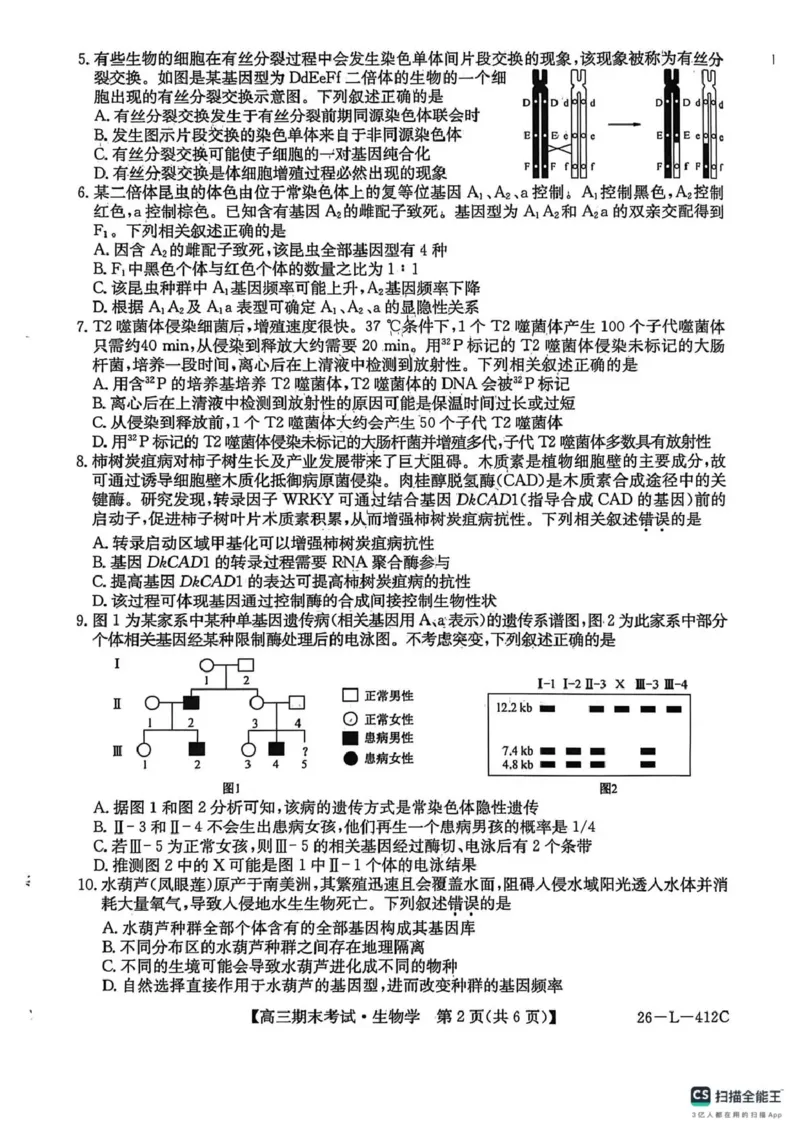 齐齐哈尔市2025~2026学年度上学期高三期末考试（26-L-412C）生物_2024-2026高三（6-6月题库）_2026年01月高三试卷_0108黑龙江省齐齐哈尔市2025~2026学年度上学期高三期末考试（26-L-412C）