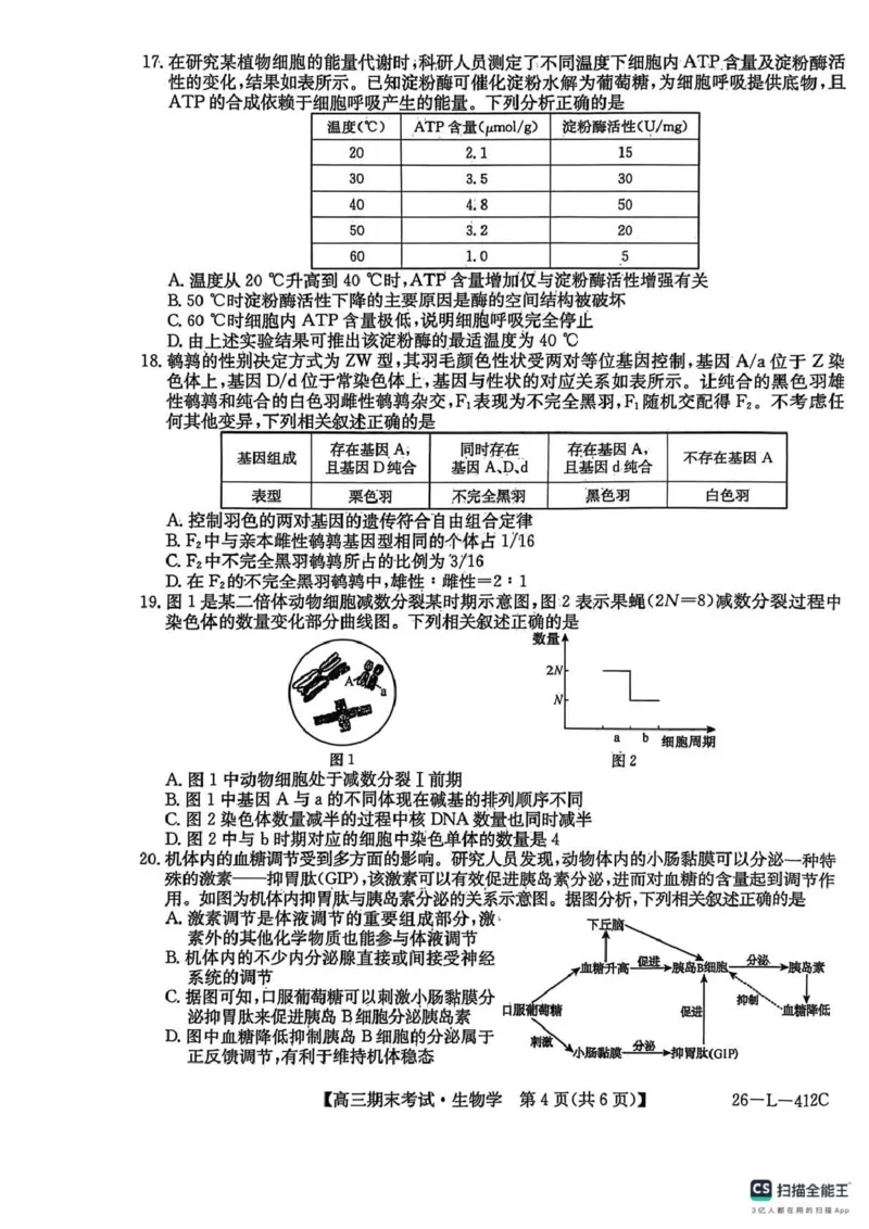 齐齐哈尔市2025~2026学年度上学期高三期末考试（26-L-412C）生物_2024-2026高三（6-6月题库）_2026年01月高三试卷_0108黑龙江省齐齐哈尔市2025~2026学年度上学期高三期末考试（26-L-412C）