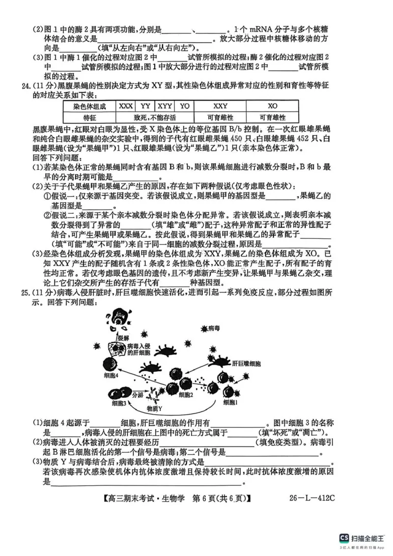 齐齐哈尔市2025~2026学年度上学期高三期末考试（26-L-412C）生物_2024-2026高三（6-6月题库）_2026年01月高三试卷_0108黑龙江省齐齐哈尔市2025~2026学年度上学期高三期末考试（26-L-412C）