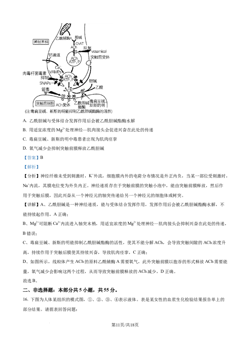 精品解析：四川省达州市外国语学校2025-2026学年高二上学期9月月考生物试题（解析版）_2025年10月高二试卷_251010四川省达州市外国语学校2025-2026学年高二上学期9月月考