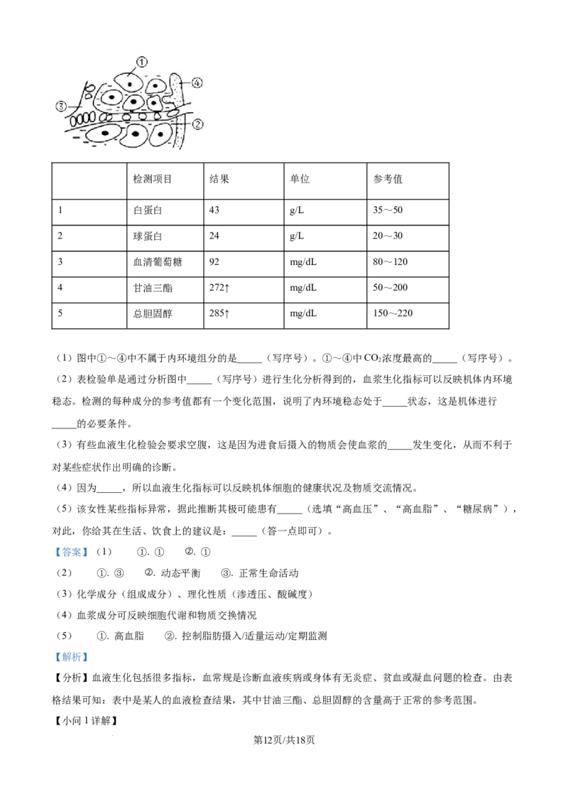 精品解析：四川省达州市外国语学校2025-2026学年高二上学期9月月考生物试题（解析版）_2025年10月高二试卷_251010四川省达州市外国语学校2025-2026学年高二上学期9月月考