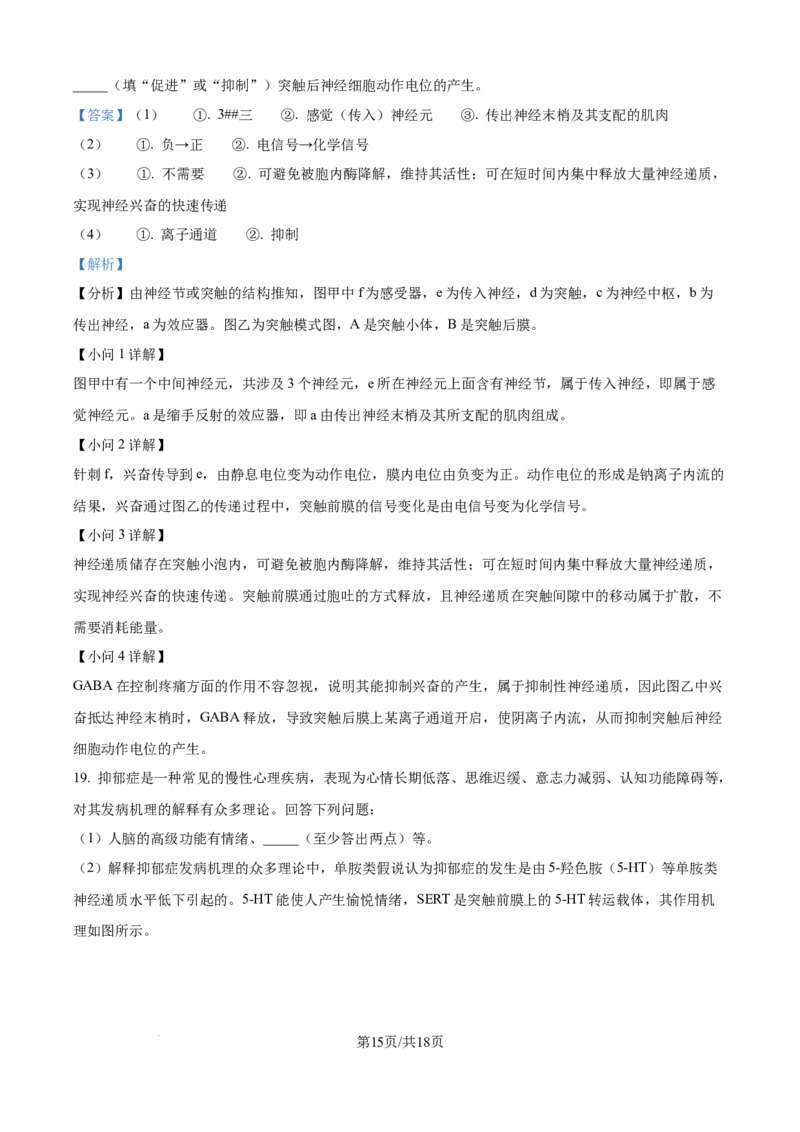 精品解析：四川省达州市外国语学校2025-2026学年高二上学期9月月考生物试题（解析版）_2025年10月高二试卷_251010四川省达州市外国语学校2025-2026学年高二上学期9月月考