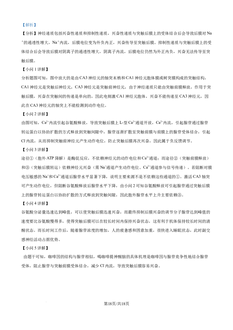 精品解析：四川省达州市外国语学校2025-2026学年高二上学期9月月考生物试题（解析版）_2025年10月高二试卷_251010四川省达州市外国语学校2025-2026学年高二上学期9月月考