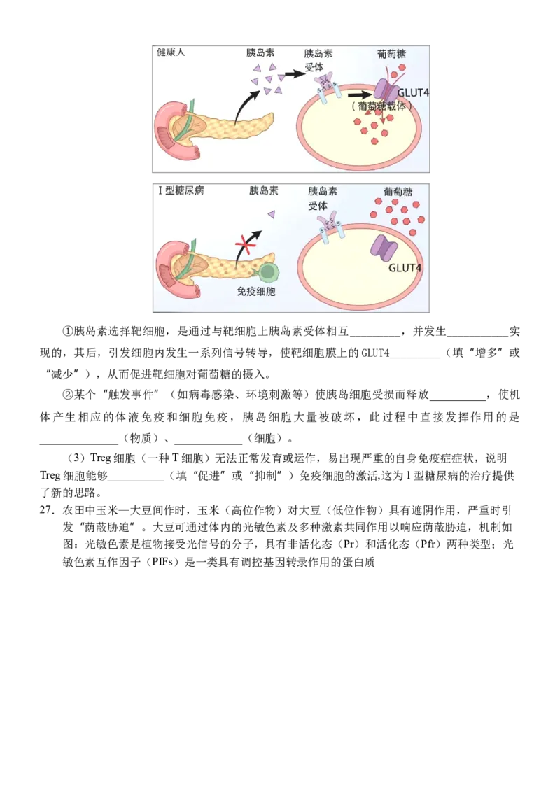 黑龙江省大庆铁人中学2025-2026学年高二上学期期末考试生物试题_2024-2025高二（7-7月题库）_2026年1月高二_260126黑龙江省大庆铁人中学2025-2026学年高二上学期期末考试（全）
