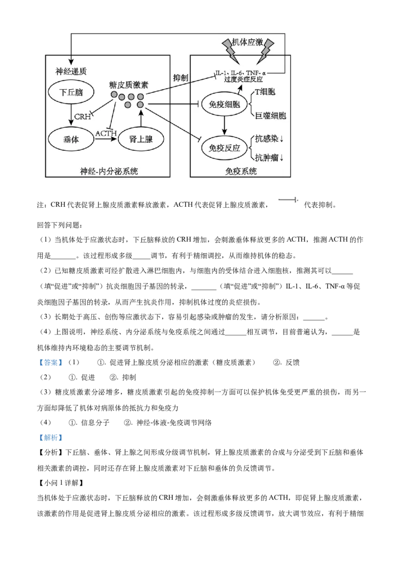 福建省厦门市2024-2025学年高二上学期期末考试生物试题Word版含解析_2024-2025高二（7-7月题库）_2025年03月试卷_0310福建省厦门市2024-2025学年高二上学期期末考试